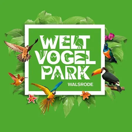 My Little Tiny House 아파트 비셀호비드