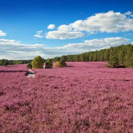 My Little Tiny House 아파트